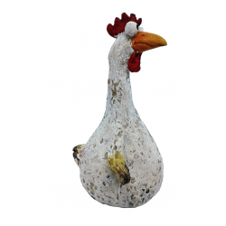 Coq drôle