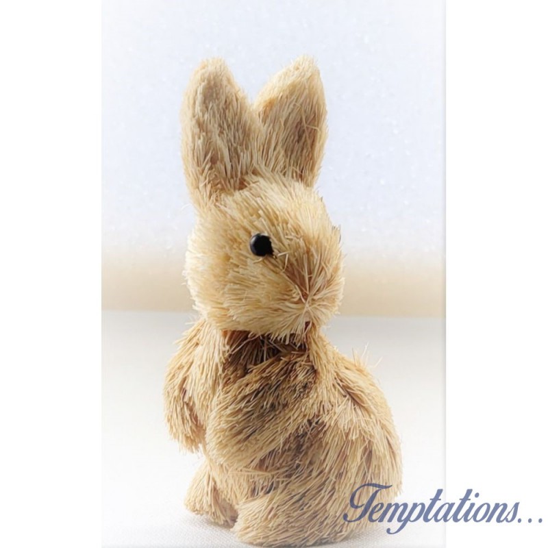 Petit lapin assis