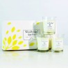 Coffret 3 bougies Sorbet au Citron - Woodbridge Collection Signature