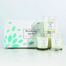 Coffret 3 bougies Pluie de Genévrier- Woodbridge Collection Signature