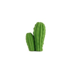 Gomme cactus Mexicain