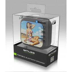 Enceinte bluetooth Pin-up M-312- Muse