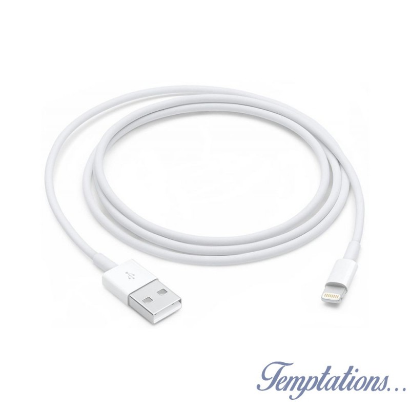 Cable de charge original iPhone