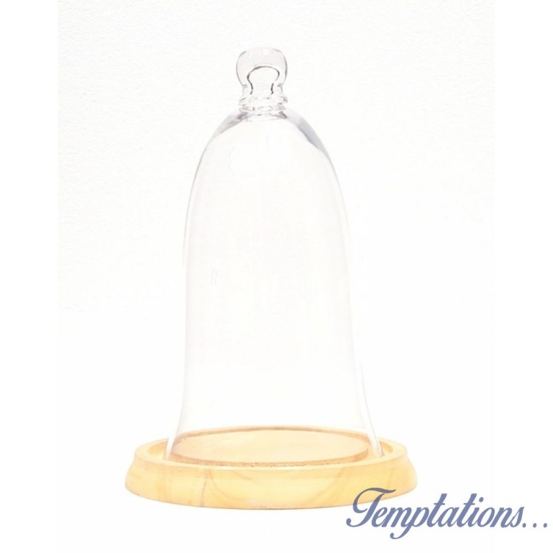 Cloche en verre conique - Molly-Marais