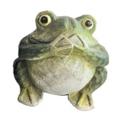 Grenouille de la sagesse...