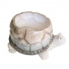 Cache pot tortue