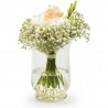 Vase en verre transparent