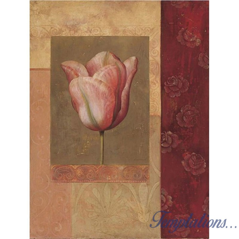 Image "Tulipe Rosée" Fabrice De Villeneuve