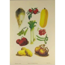 Image "Planche de légumes "...