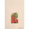 Carte Rossi "Fraises"