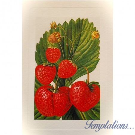 Carte Rossi "Fraises"