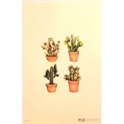 Carte Rossi "Cactus raquettes"