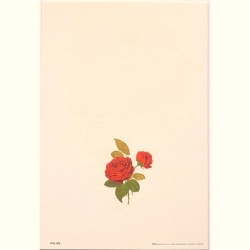 Carte Rossi "Roses Dublin bay"