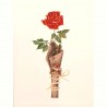 Carte Rossi "Une Roses  "Je t'aime"N°3