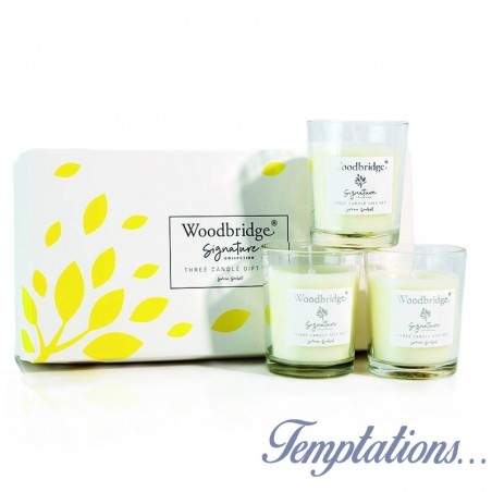 Coffret 3 bougies Sorbet au Citron - Woodbridge Collection Signature