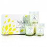 Coffret 3 bougies Sorbet au Citron - Woodbridge Collection Signature