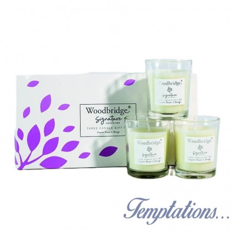 Coffret 3 bougies passion & Mangue - Woodbridge Collection Signature