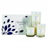 Coffret 3 bougies Mûres Sauvages- Woodbridge Collection Signature