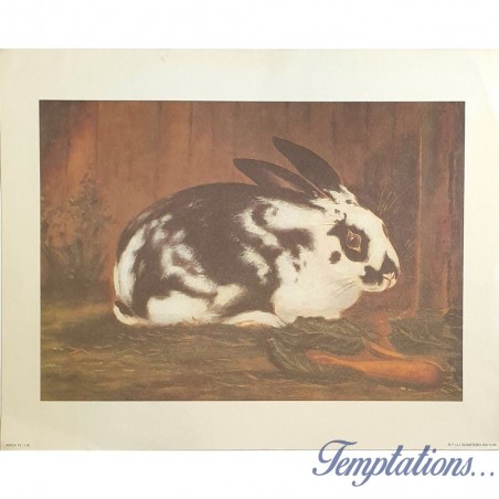 Image" Lapin Rustique"