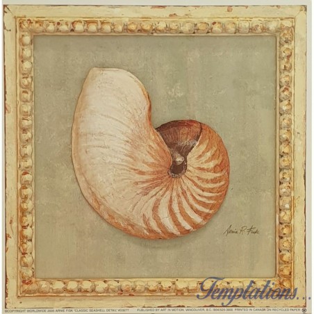 Image "Classic seashell " Arnie Fisk