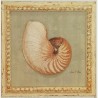 Image "Classic seashell " Arnie Fisk