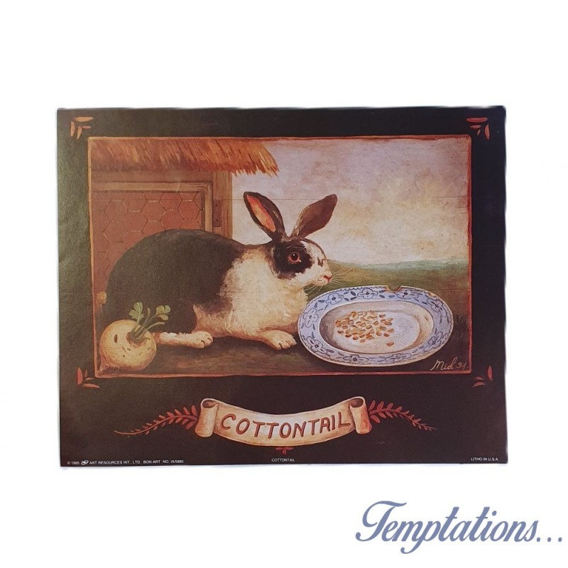 Litho " Lapin Cottontail "