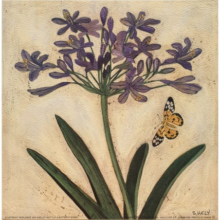 Image " Lily & Butterfly "  Shelley Hely