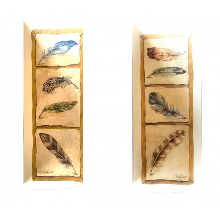 Lot de 2 Images “ Feather study I - Feather study II"- Cindy Kuris Sacks