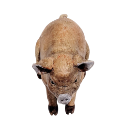Cochon en resine - Dekoratief