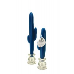 Duo flambeaux cactus...