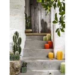 Photophore cactus en cire Olive avec recharge parfumée - Bougie la Française
