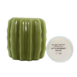 Photophore cactus en cire...