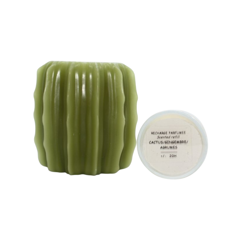 Photophore cactus en cire Olive avec recharge parfumée - Bougie la Française