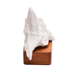 FUJI diffuseur sculture en bois et ceramique Anoq