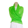Foulard vert avec motifs d’ailes en strass argenté