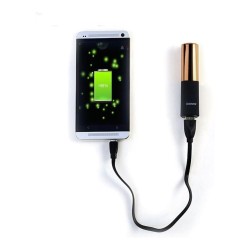 Batterie de secours LipMax champagne/noir - Remax