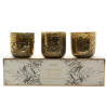 Coffret 3 bougies parfumées Winter White - ILLUME