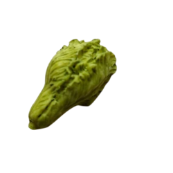 Bouton JHB - "Laitue romaine"