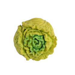 Bouton JHB - "Laitue"