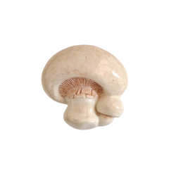 Bouton JHB - "Champignon"