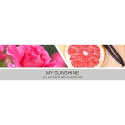 Bougie 3 mèches My Sunshine / Mon Rayon De Soleil – Goose Creek