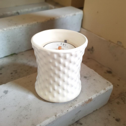 Bougie Botanical Gardens...