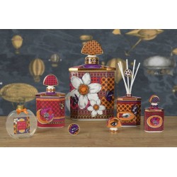 Diffuseur 325ml Wildland Baci Milano