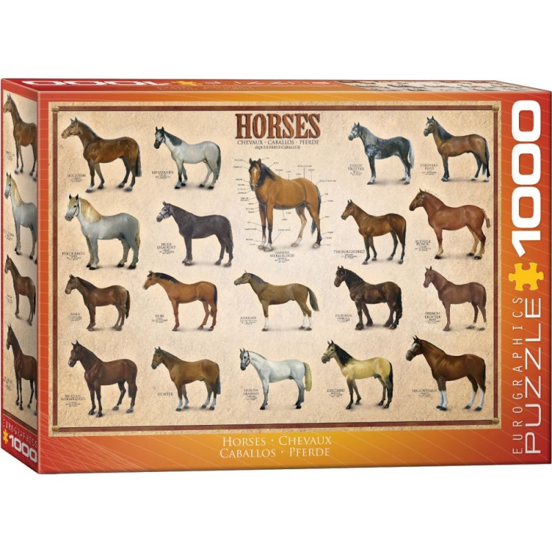 Puzzle 1000 pièces Chevaux - Eurographics