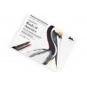 Carnet de cartes postal aquarelle  Birds of America