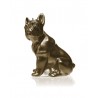 Bougie Bulldog Brass Candellana