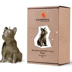 Bougie Bulldog ORIGAMI Brass Candellana