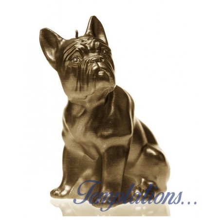 Bougie Bulldog Brass Candellana