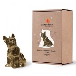 Bougie Bulldog Brass Candellana