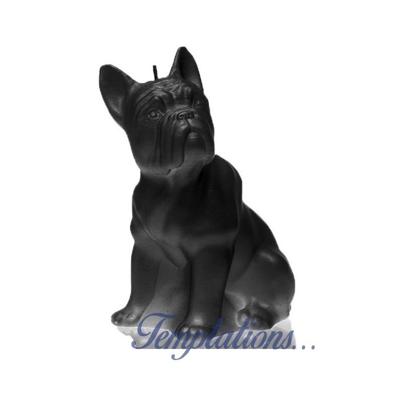 Bougie Bulldog noir mat  Candellana